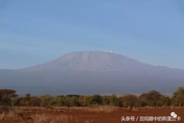 风动？树动？心动！致你，Kenya