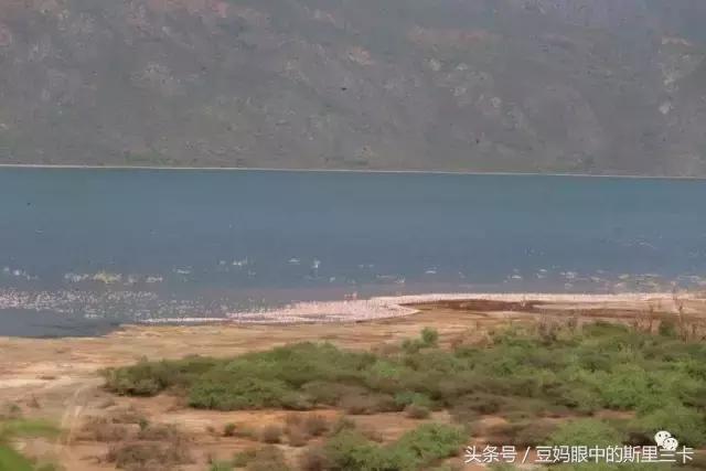 风动？树动？心动！致你，Kenya