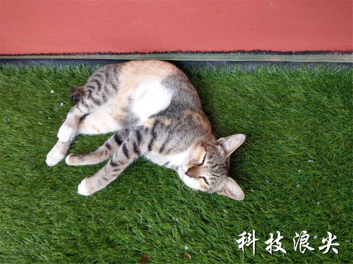 htcu11和htcu11+屏幕对比,htcu11测评