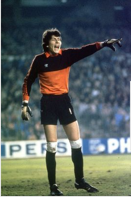 一夫当关万夫莫开是哪首诗,一夫当关万夫莫开是四字成语吗