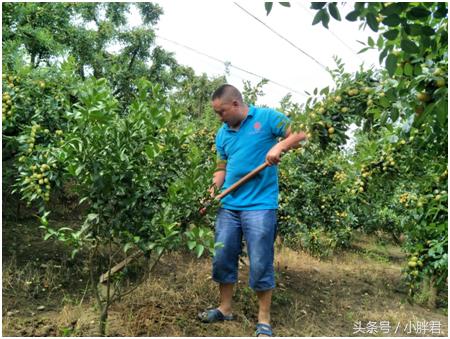 走很少人走的路,少有人走的路歌曲