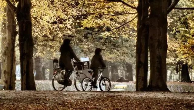 荷兰现在能不能去,什么时候不能去荷兰