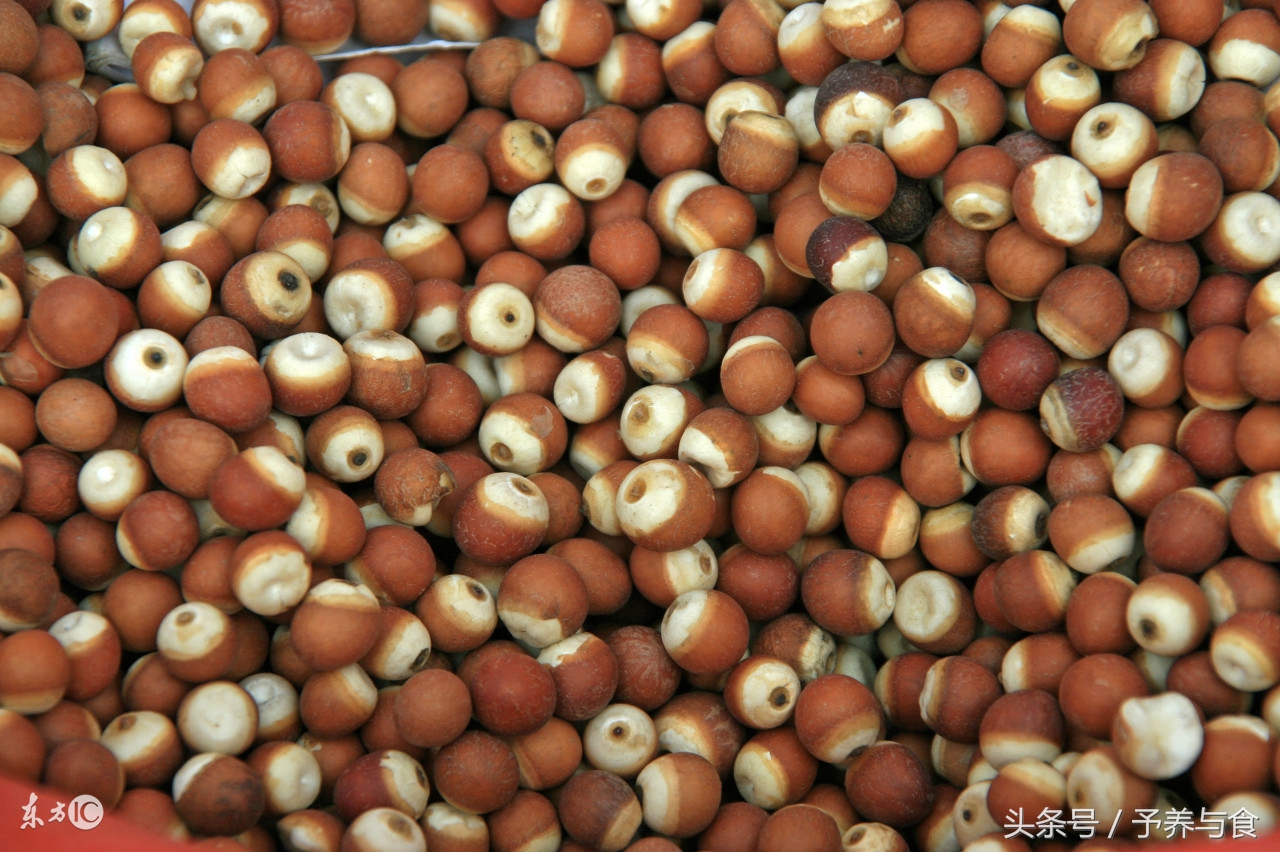 芡实怎么吃最有营养价值,芡实什么人不适合吃