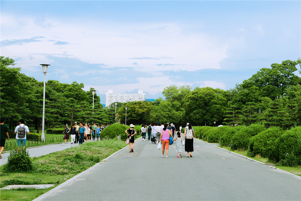 丽星邮轮8天7晚自由行攻略,丽星邮轮双子星号日本攻略
