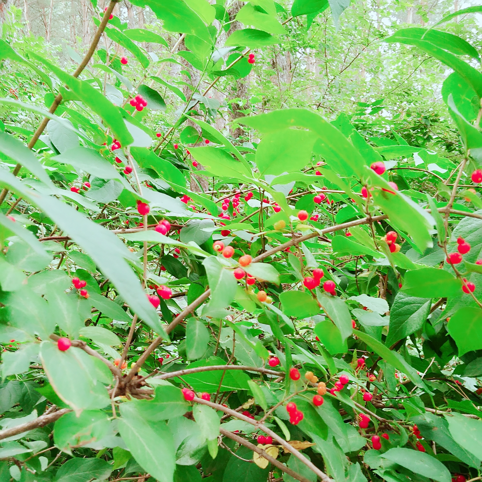 去银行办理业务有哪些难处,去银行办贷款一般碰到的问题