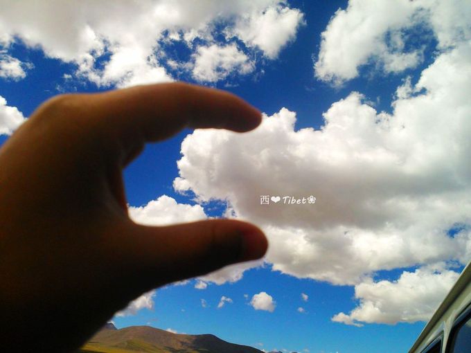 奥古斯都,August的格桑花秘境：我养你！带你去*藏西**啊！