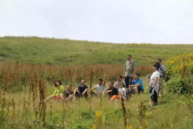 山西历山舜王坪大草原攻略,看云海高山草甸的地方