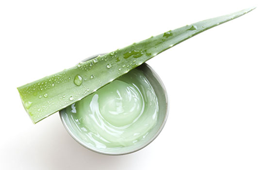 芦荟胶怎样使用正确呢,芦荟胶怎么使用才是正确的