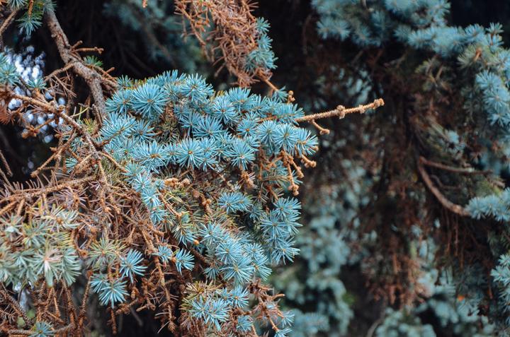 感受战斗民族日常,感受战斗民族的热情