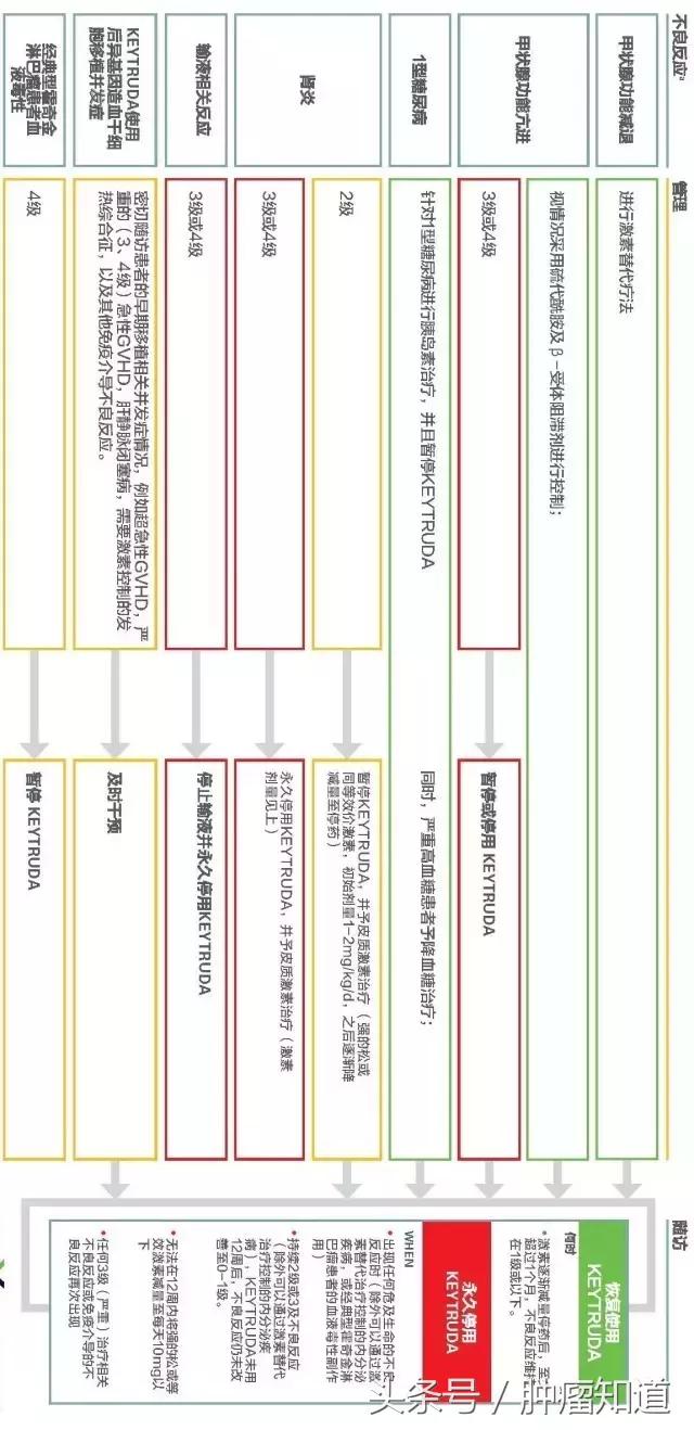 独家发布——keytruda患者必备指南（免费取阅）