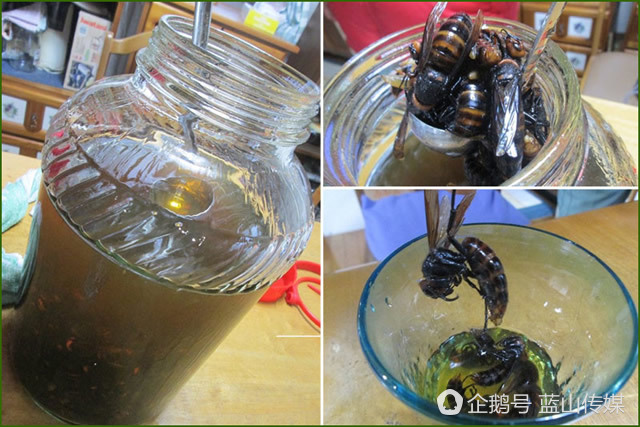 日本最奇葩的八大发明,日本真奇葩五款发明