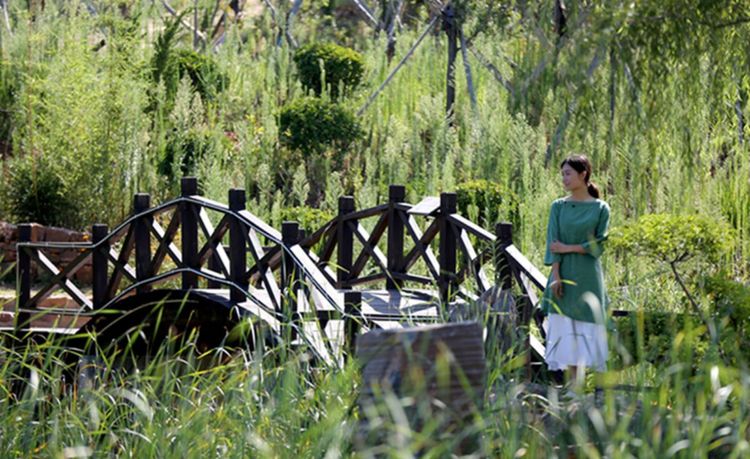 伊滨区万安山山顶公园,洛阳万安山山顶公园照片