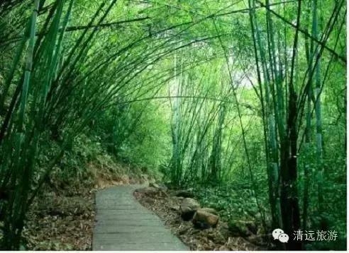 宕╂簝澶ч檰鐏倝,杩炲窞鐏倝