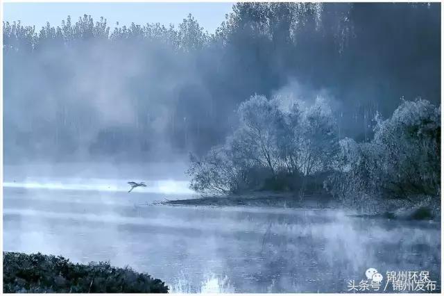 锦州市生态环境优化,你不能错过