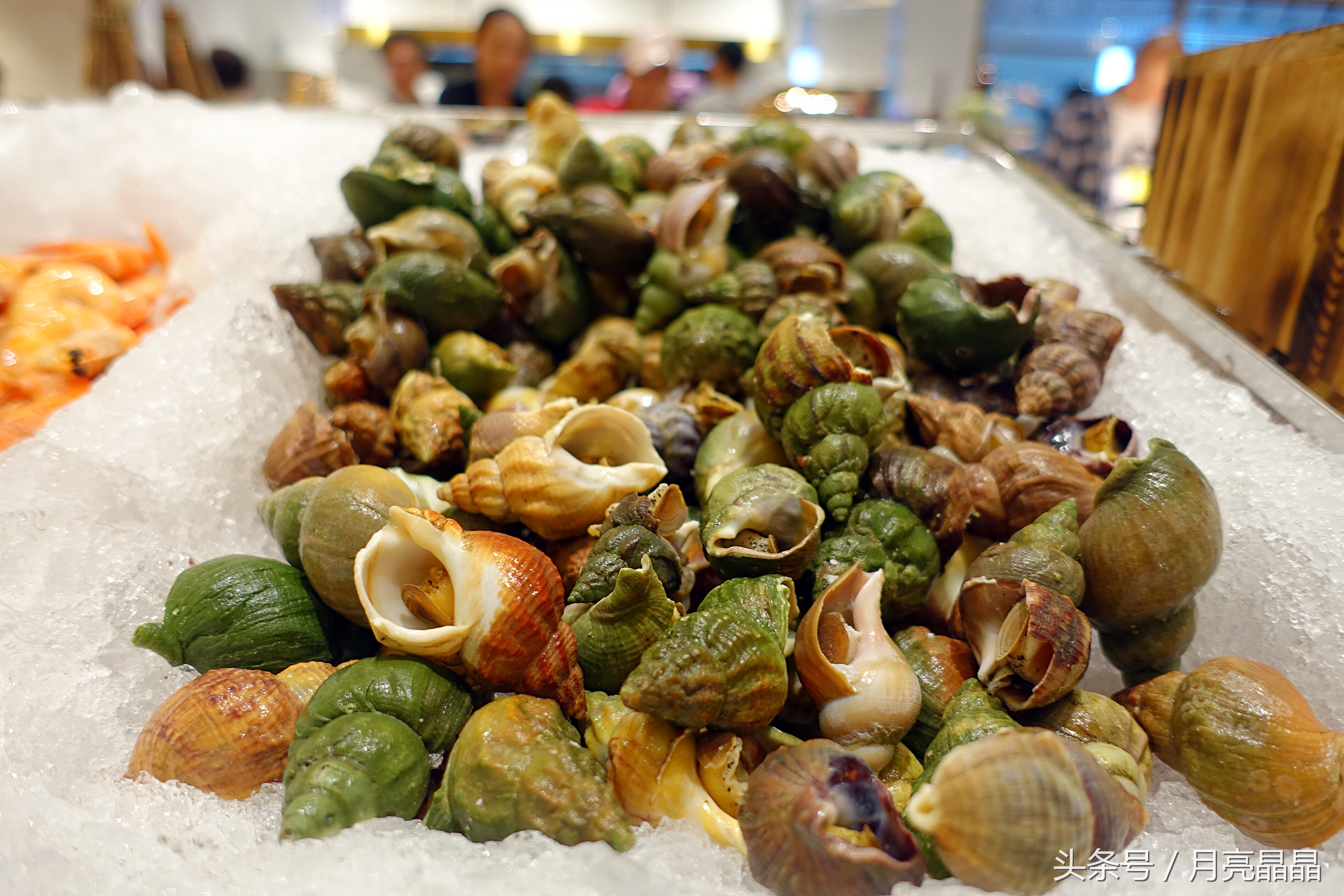 懒人避暑首选,懒人避暑旅游景点