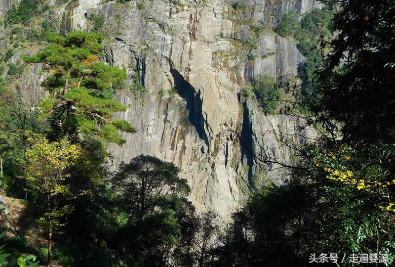 婺源第一名,婺源茶叶第一名