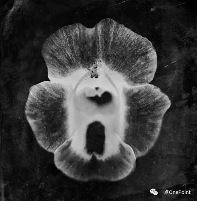 手机附加镜使用,你真的会用iphone辅助功能吗