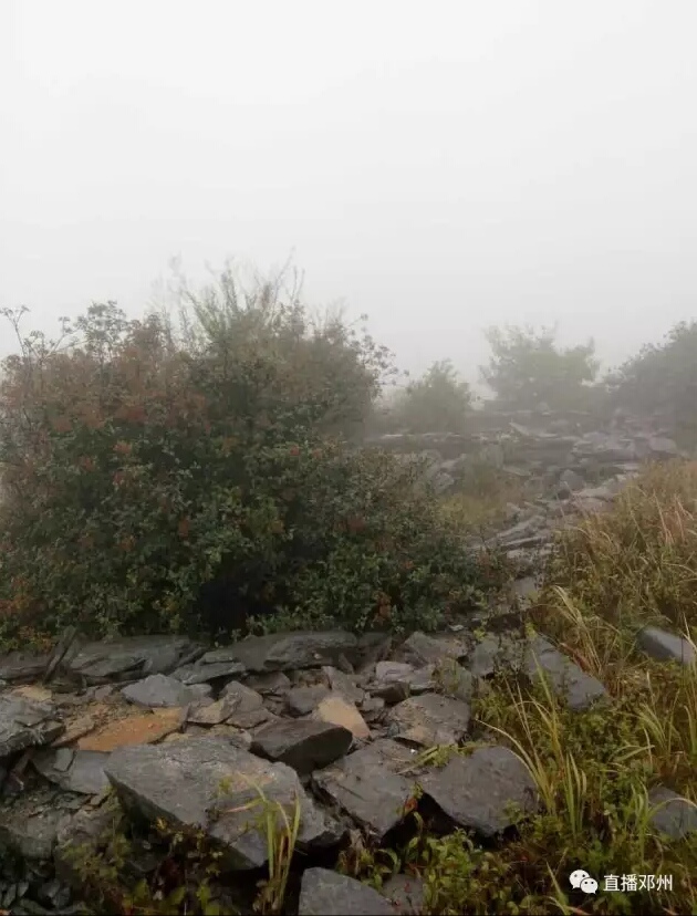 等风等雨等你来完整版,等风等雨等你来下一句