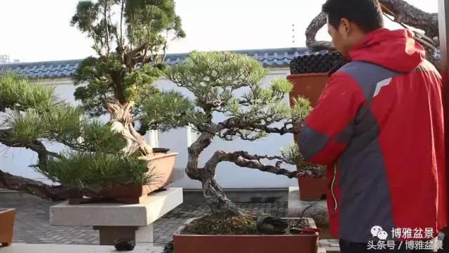 清逸园，一座闹中取静的“文人园林”