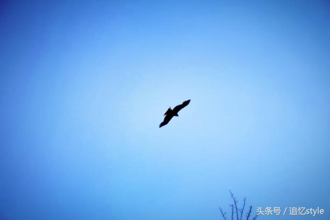 日本适合一个人散心的地方,日本有哪些值得思考的地方