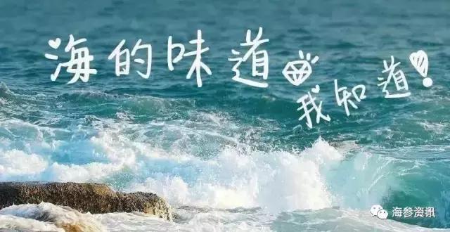 常吃海参的朋友给你几个忠告,经常吃海参的人还有得癌症的吗