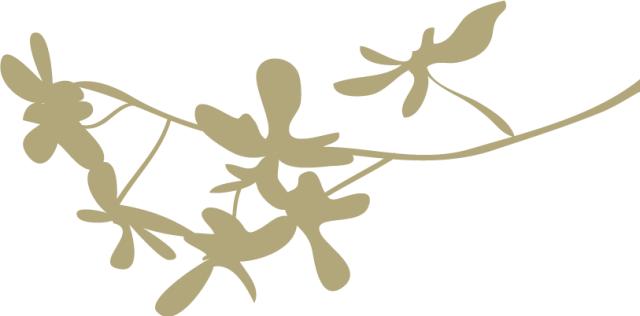 学会数理化真的走遍天下都不怕,现在学会数理化还能走天下了吗