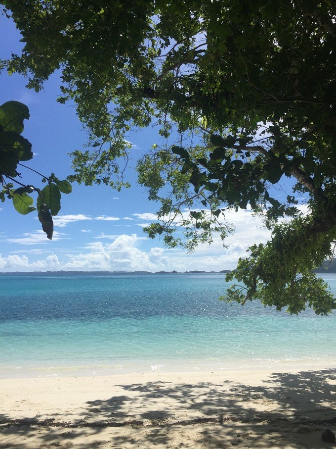 一起去帕劳旅游,去帕劳旅游自由行攻略