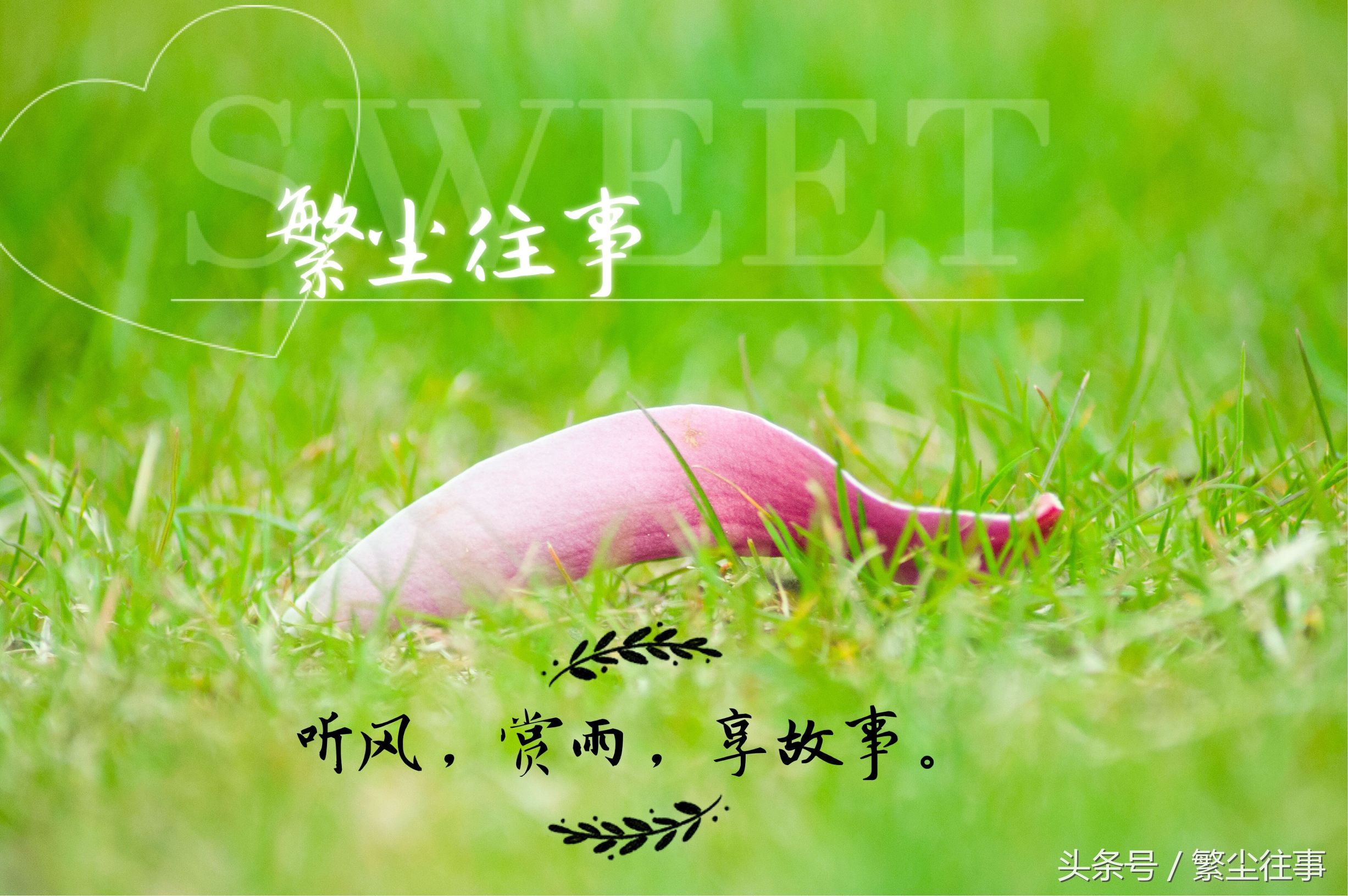 尽情游戏搞笑,尽情游戏讲的是什么