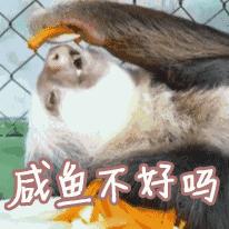 生理期可以做无氧力量训练吗,生理期可以做的塑形训练