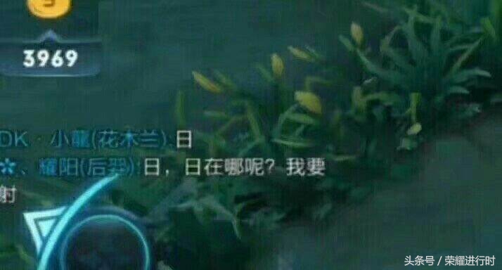 王者荣耀的那些逗比,王者荣耀逗比队友一大堆