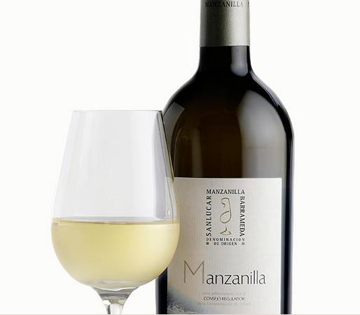 帕洛米诺阿根廷,帕洛米诺盎格鲁