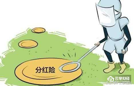 云掌财经丨你知道“分红险”赚钱吗？又有哪些产品值得投资？