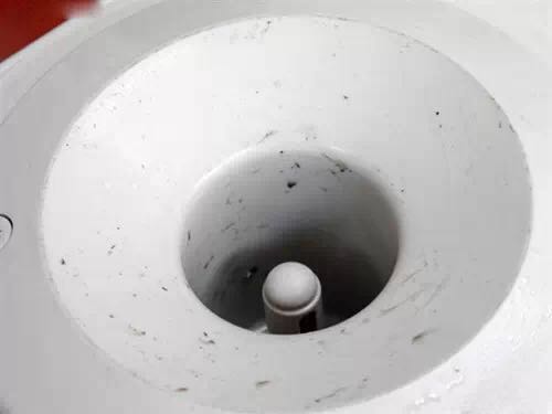 大家都清洗过饮水机吗,饮水机从来没有清洗过