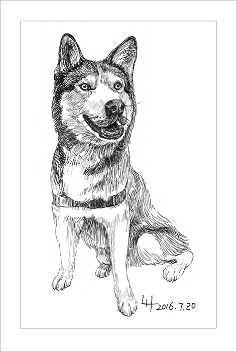 钢笔画动物昆虫,钢笔画家禽速写