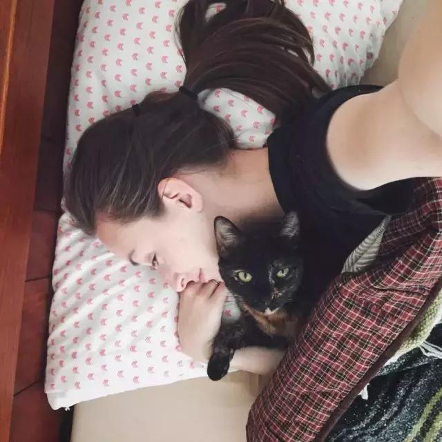 玳瑁猫有什么好,玳瑁猫猫界有多受欢迎