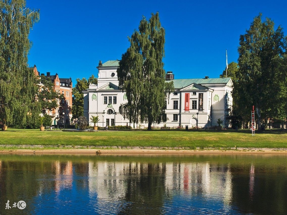 瑞典的移民大多来自哪里,瑞典移民和爱尔兰移民