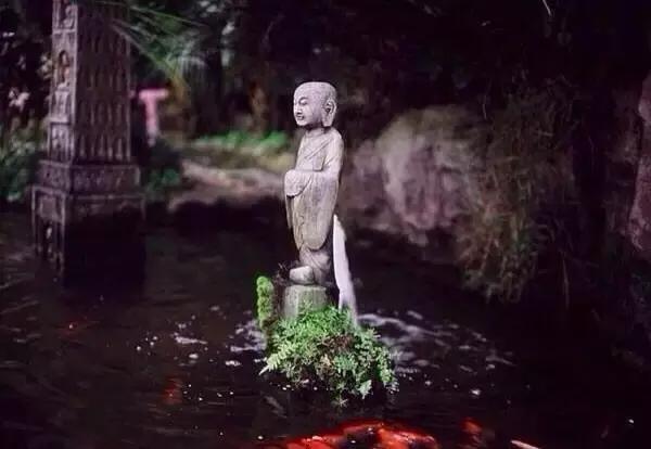 七情六欲是哪七情哪六欲指的是什么,七情六欲是哪七情哪六欲具体解释