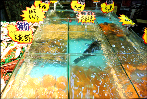 没去鼓浪屿，却巧遇曾厝垵“煮好吃”