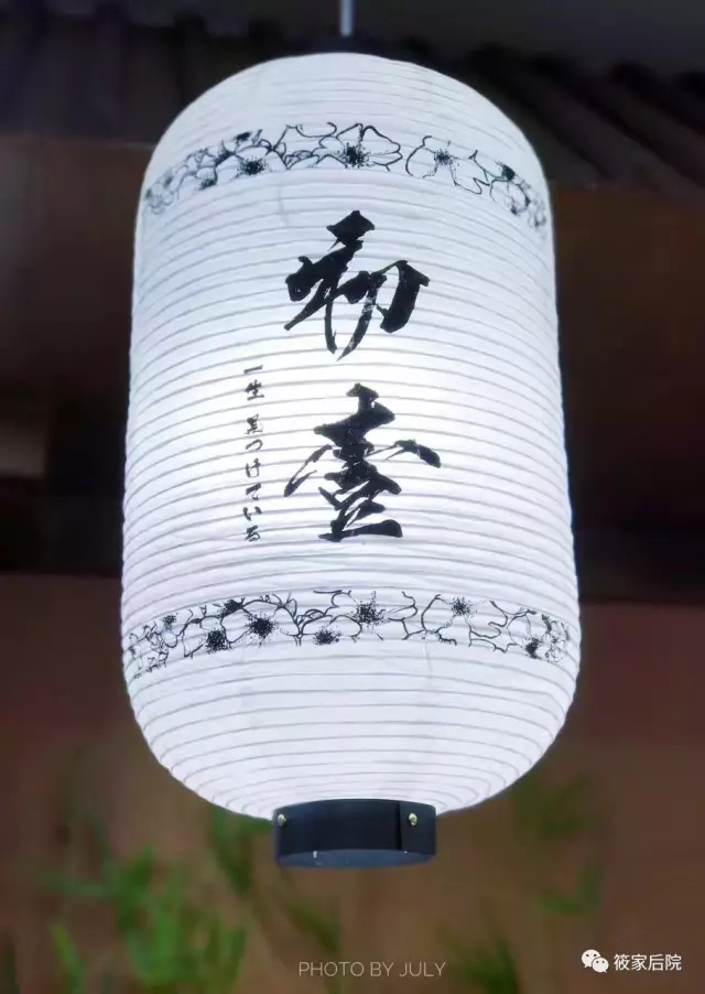 深夜放毒01完整版,深夜放毒巧克力抹茶