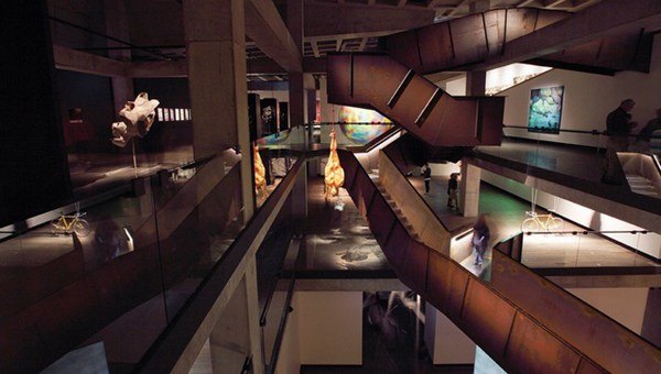 澳大利亚鲍鱼新西兰鲍鱼,澳大利亚顶级鲍鱼