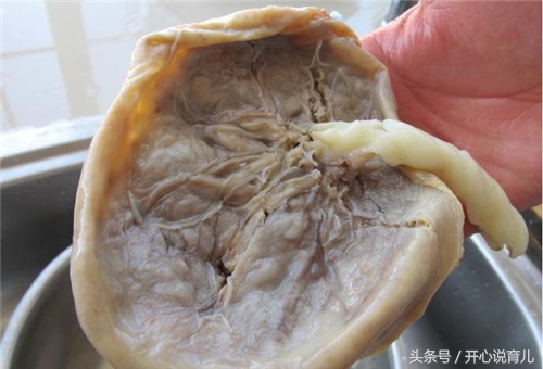 胎盘能吃吗有什么作用和坏处,胎盘你们是怎么处置的