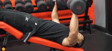 哑铃练下胸肌训练动作,用哑铃练胸肌最全面的动作