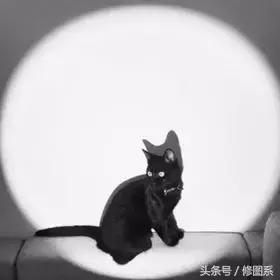 修图师会用哪些修图软件,修图师都用ps么