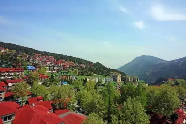 对不起我来晚了，幸好你还没热成人肉叉烧包