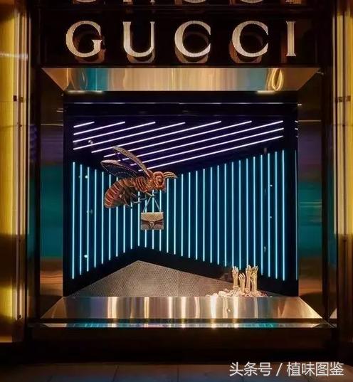 世界顶级奢侈品橱窗,不出家门一分钟尝遍世界咖啡