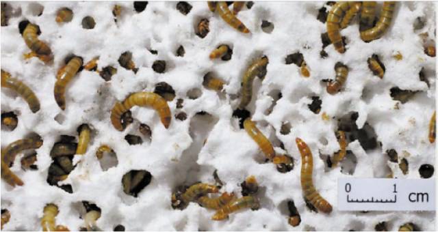 微型塑料污染治理方法,解决塑料污染的最好方法