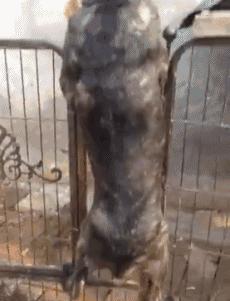 夕阳下的奔跑是我逝去的青春出处,我想起那天夕阳下的奔跑出自哪里