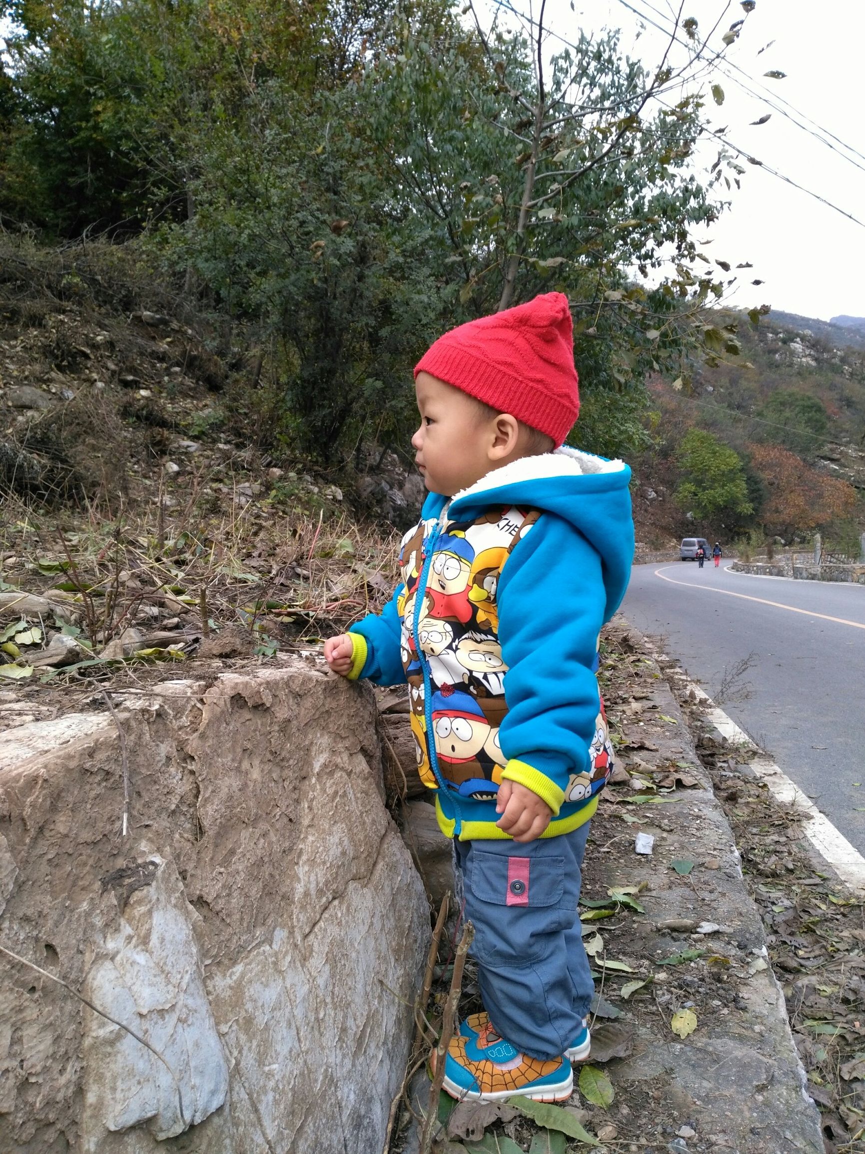 有图有真相搞笑,有图有真相分享