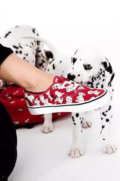 辣条潮牌,辣条联名款