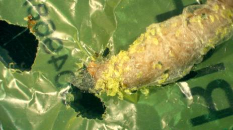 微型塑料污染治理方法,解决塑料污染的最好方法